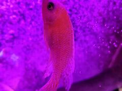 -沈阳海洋探索中心