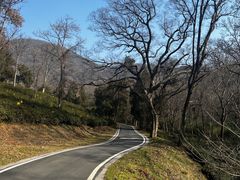 -南京老山国家森林公园