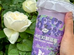 -茶屿水果茶(太古里店)