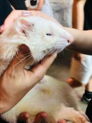 -Zoolung Zoolung动物主题公园(海信广场店)