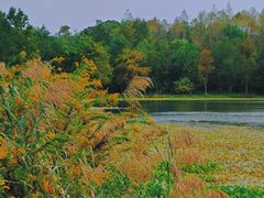 -上海海湾国家森林公园