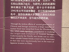 -北京周口店北京人遗址博物馆