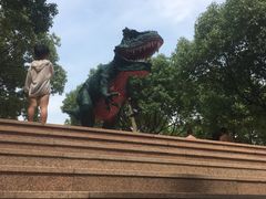 -热带风暴水上乐园(新镇路)