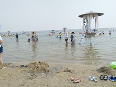 -碧海金沙
