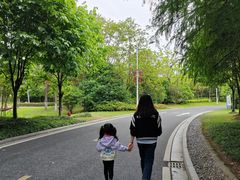 -苏州太湖国家湿地公园