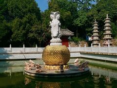 -泰山风景名胜区-普照寺