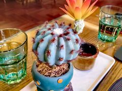 -萌啊莫·素食天津菜·西餐(五大道店)