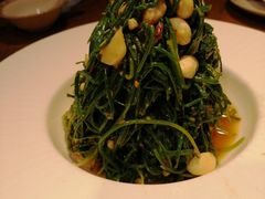 -老阿妈蒙古村·蒙古包·草原文化·歌舞表演(老君堂店)