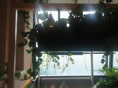 -嘉和一品粥(方庄店)