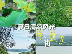 -南北湖风景区