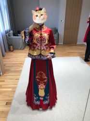 -南京宝娜嫁衣婚纱礼服馆(中央路店)