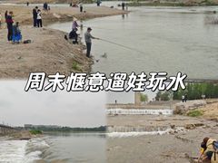 -绿堤公园