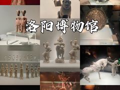 -洛阳博物馆