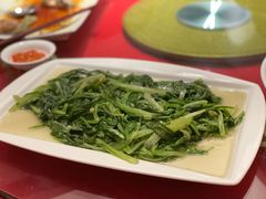 油麦菜-新锦鸿(演达店)