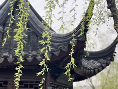 -拙政园