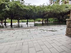 -舞鹤日本料理铁板烧(华侨城店)