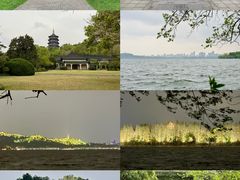 -浙江西子宾馆·瑶园咖啡厅