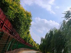 -绿堤公园