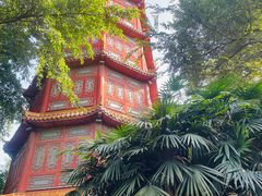 -房湖公园
