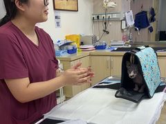 -美联众合动物医院·24h转诊中心
