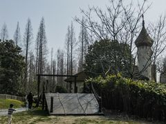 -东平国家森林公园