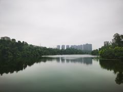 -东岳体育公园