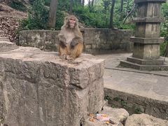 -黔灵山公园