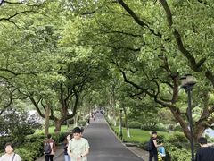 -家烧面馆【南山路知名经典面食】