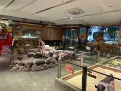 -造物庄园 萌宠纪(苏州湾歌林公园店)