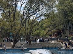 -东明山森林公园
