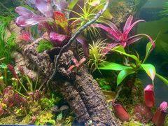 -Rabbit Cafe私房西餐甜点咖啡(栖霞路店)