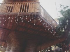 -杭州开元森泊度假乐园