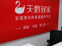 -天鹅到家·保姆月嫂育儿嫂(龙华店)