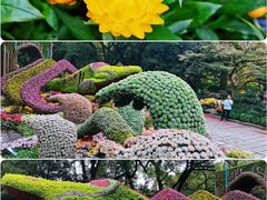 -杭州植物园