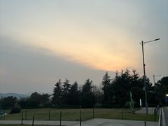 -铁山坪森林公园