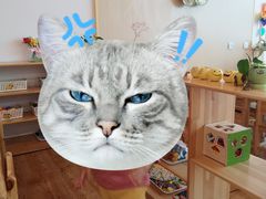 -瀚佳仁双语幼儿园