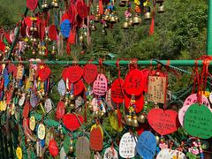 -西双版纳原始森林公园