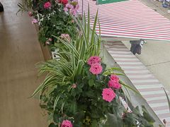 -辣辣小吃豆花米线(大观篆新农贸市场店)