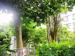 -广州神农草堂中医药博物馆