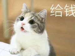 -中关村茶点