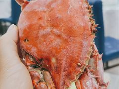 清蒸大螃蟹-聚德福海鲜家常菜(刘庄店)