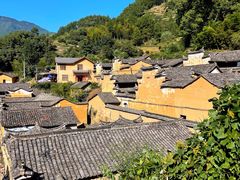 -杨家堂村