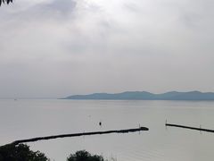 -上海市保健医疗中心