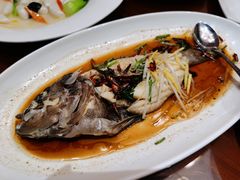 葱油黑鱼-丽苑大酒店