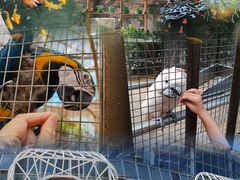 -南宫五洲植物乐园