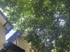-上海蔡元培故居陈列馆