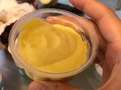 -都念榴莲·城市榴莲