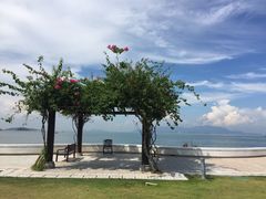 -采粤轩中餐厅(惠州金海湾喜来登度假酒店)