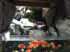 -福州罗源湾海洋世界旅游区