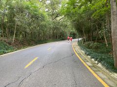 -紫金山山顶公园